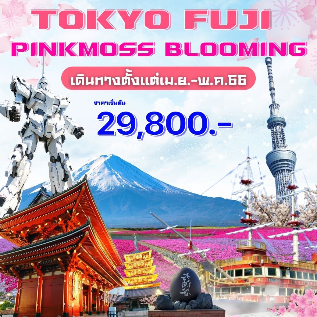 โปรแกรมทัวร์ญี่ปุ่น 5 วัน 3 คืน โตเกียว-ฟูจิ ล่องเรือล่องเรือโจรสลัด เริ่มต้น 29,800.-